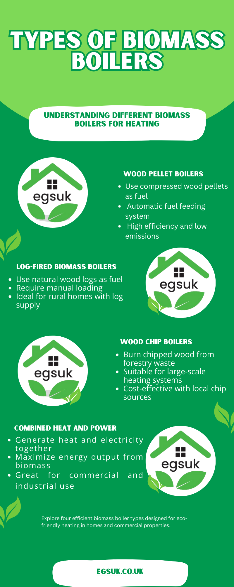 Types of Biomass Boilers
