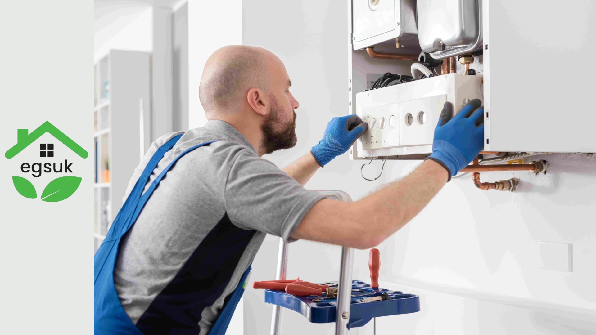 Trusted Local Experts